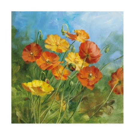 Danhui Nai 'Summer Field Iv' Canvas Art,35x35